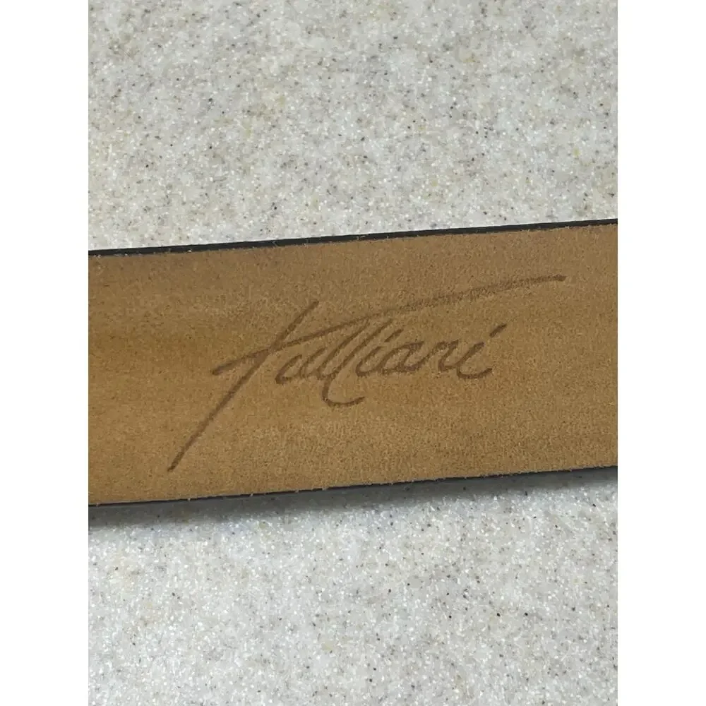 Remo Tulliani remo tulliani